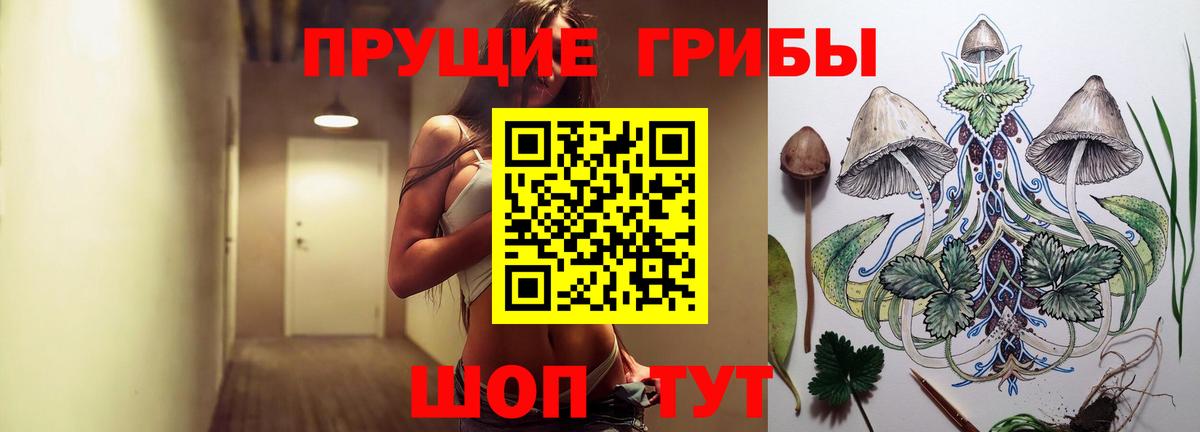 Корсаков  закладки  Вход с VPN  Псилоцибиновые грибы Cubensis 